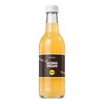 Water Concepts - Bottle of fruit juice Apple-Ginger with logo and label